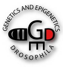 Opening in Drosophila Genetics and Epigenetics