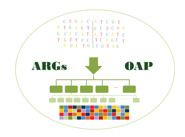 ARGs-OAP
