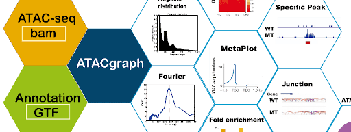 ATACgraph